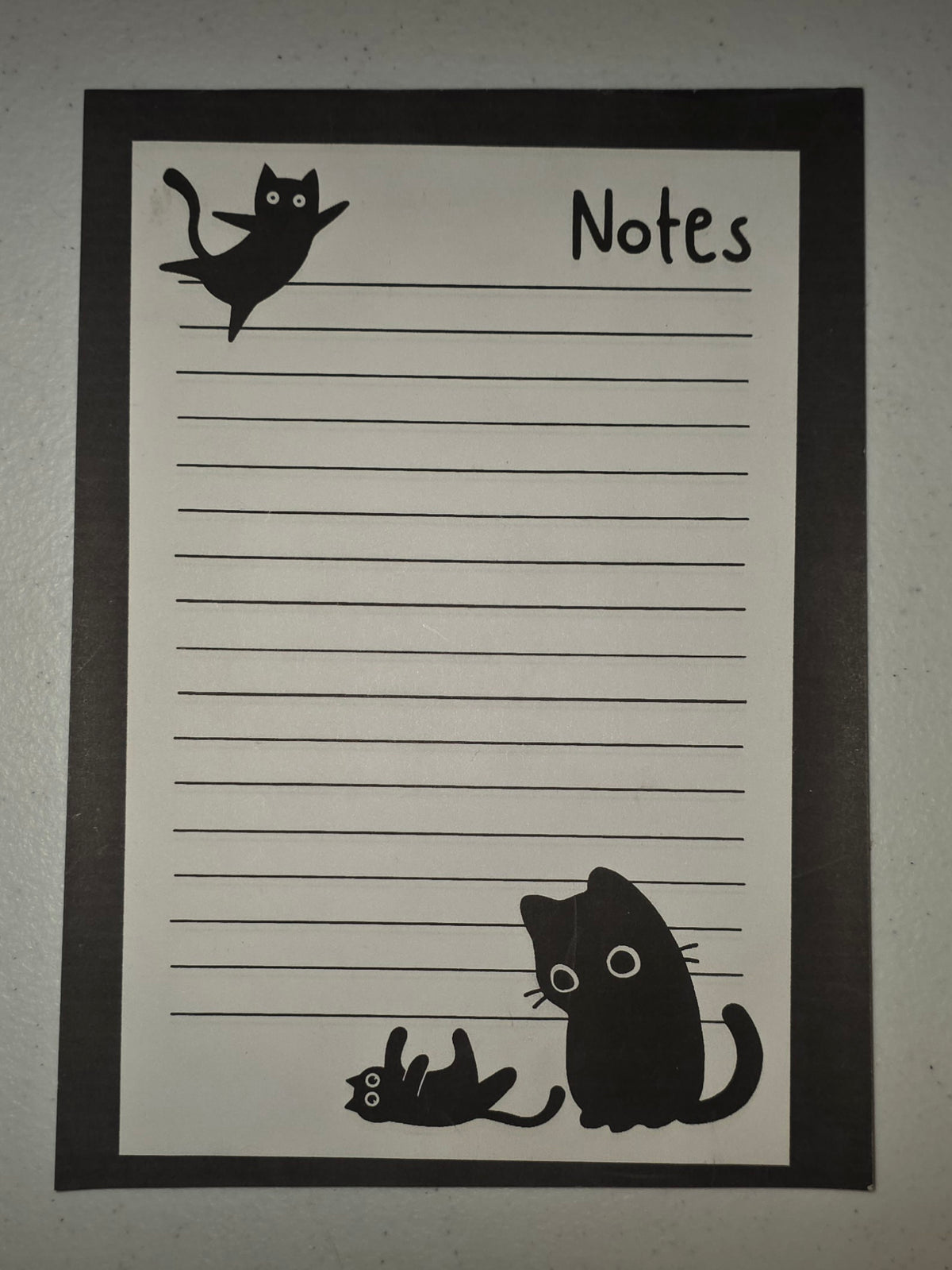 Silly Black Cats