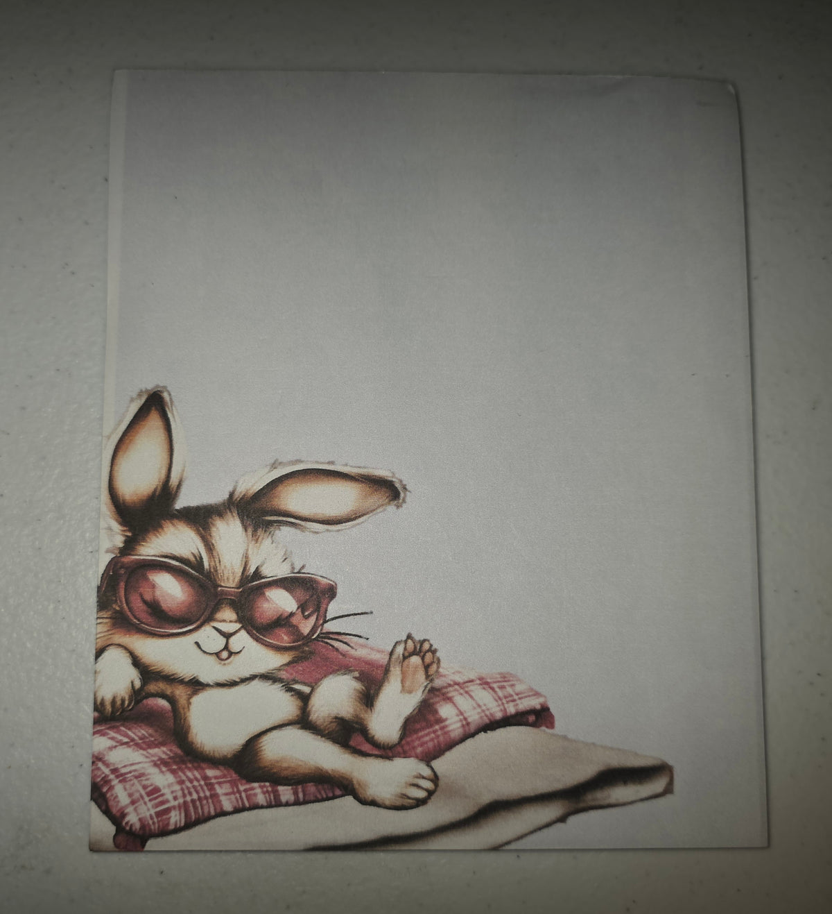 Chilling Bunny Note pad
